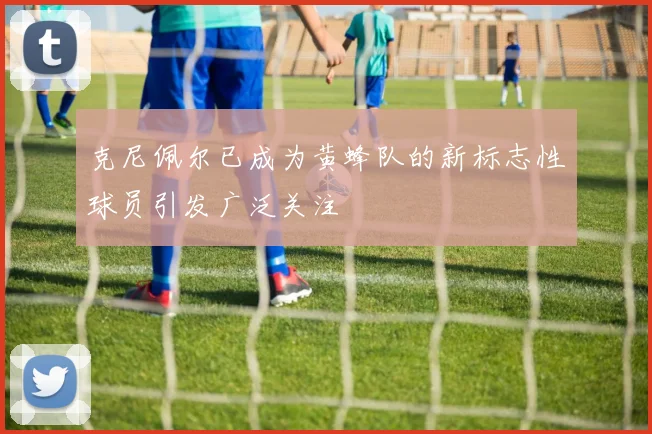 克尼佩尔已成为黄蜂队的新标志性球员引发广泛关注