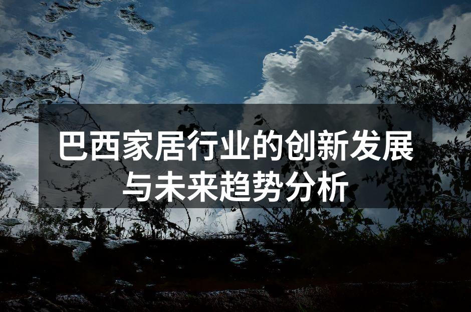巴西家居行业展览会现场