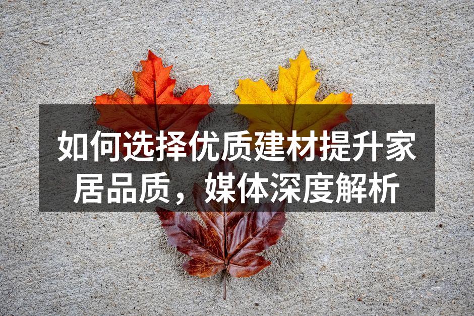 如何选择优质建材提升家居品质，媒体深度解析