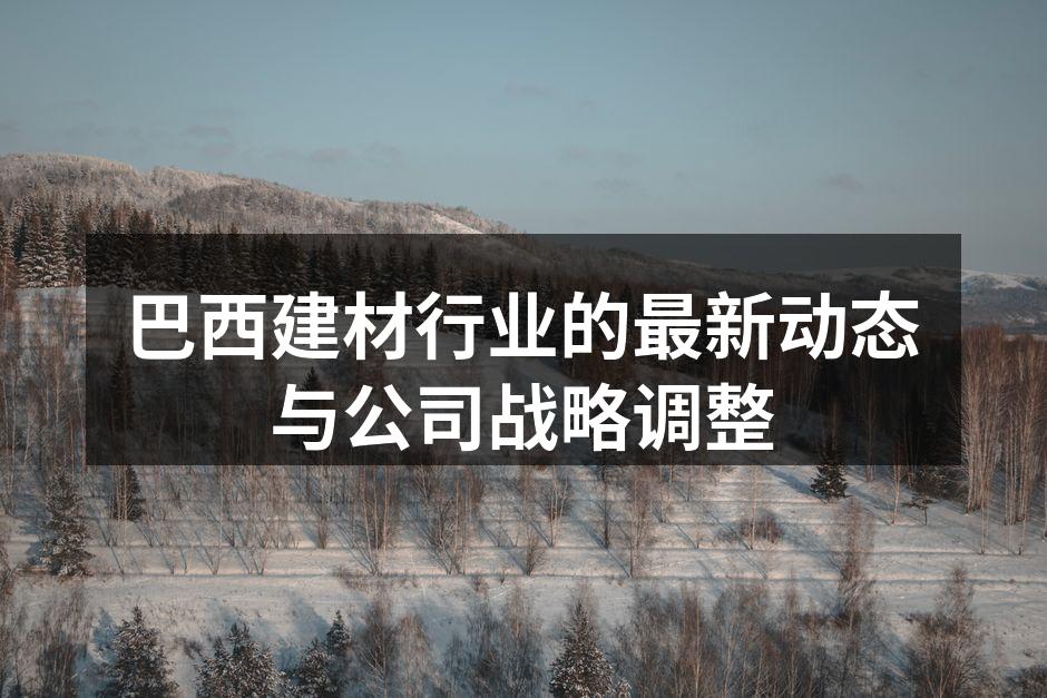 巴西建材行业的最新动态与公司战略调整