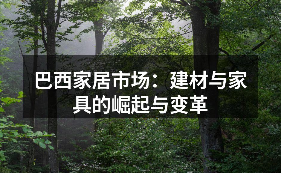 巴西家居市场：建材与家具的崛起与变革