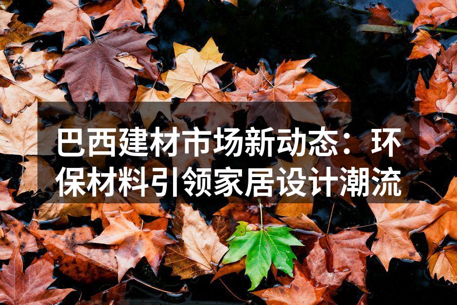 巴西建材市场新动态：环保材料引领家居设计潮流