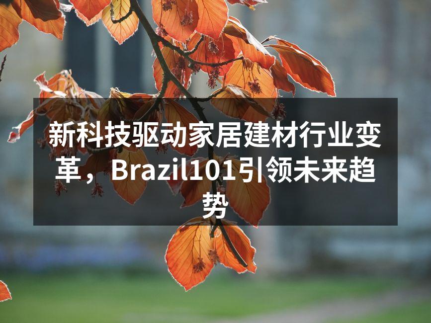 新科技驱动家居建材行业变革，Brazil101引领未来趋势